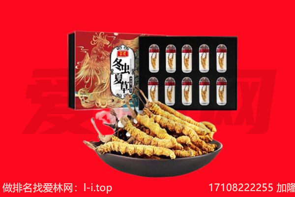 泰州市回收虫草.jpg